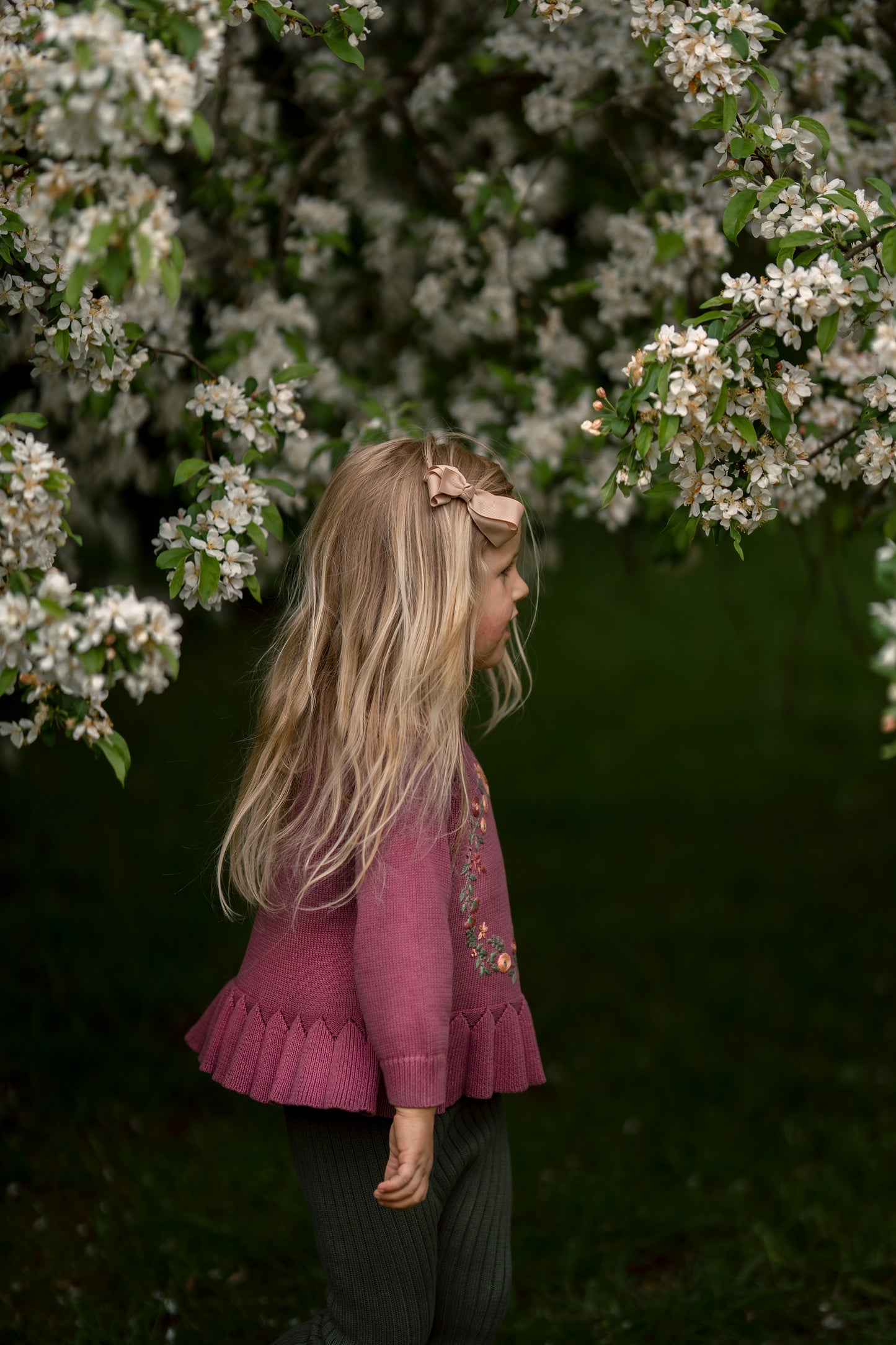 Hanevild Agnes Bluse Blouses Chrushed berry