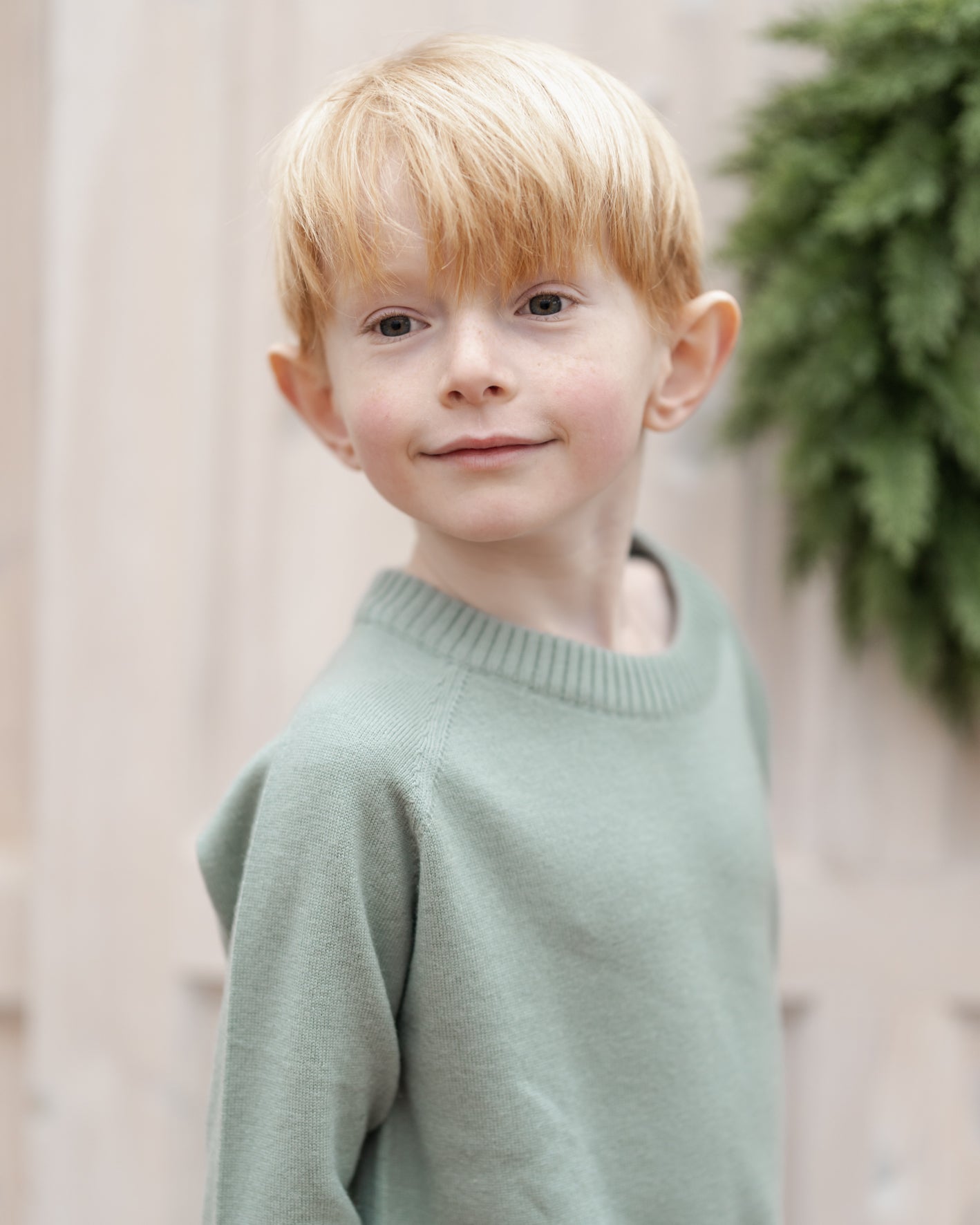 Hanevild Bertil bluse, merino uld Blouses sage