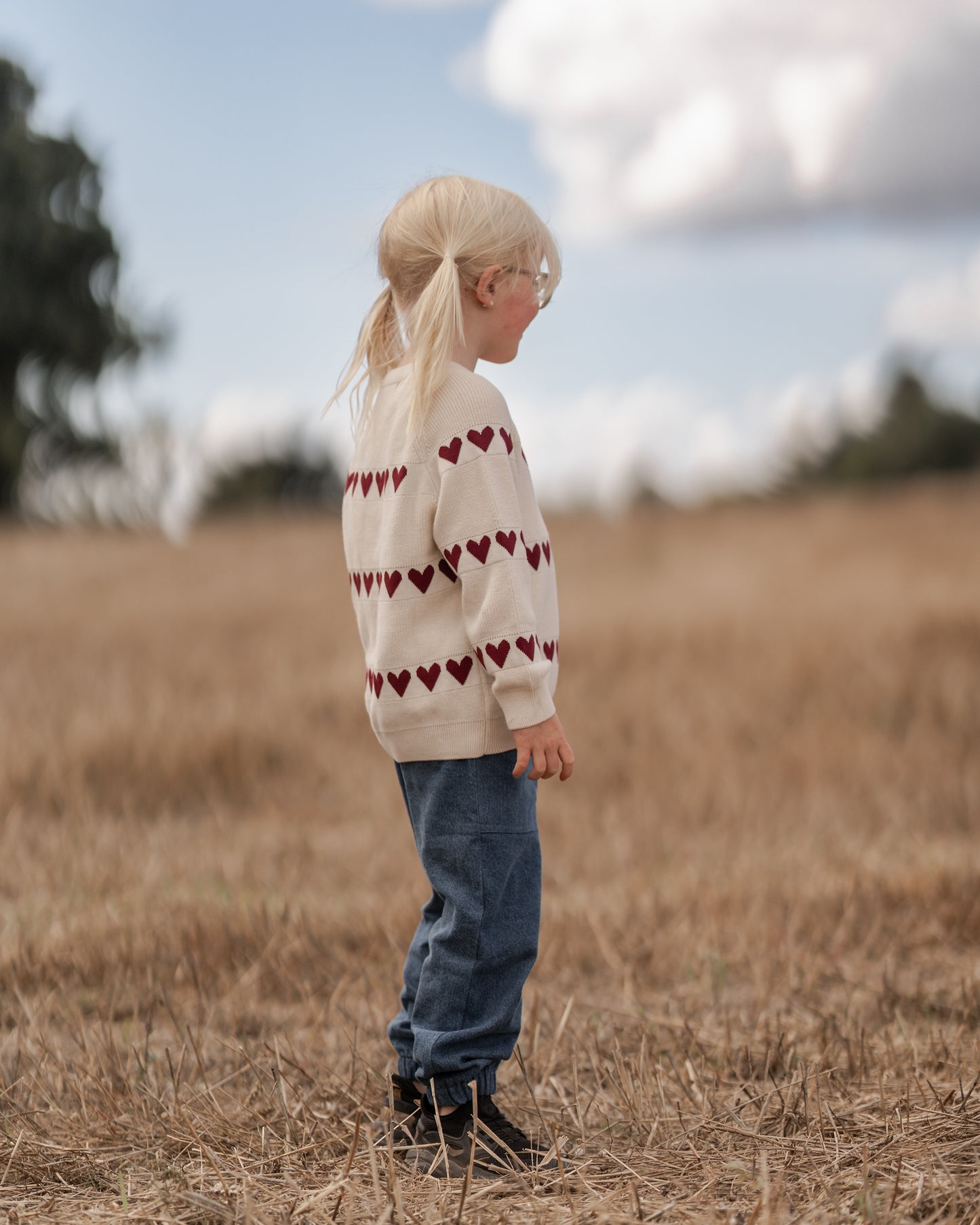 Hanevild Jens bukser Pants