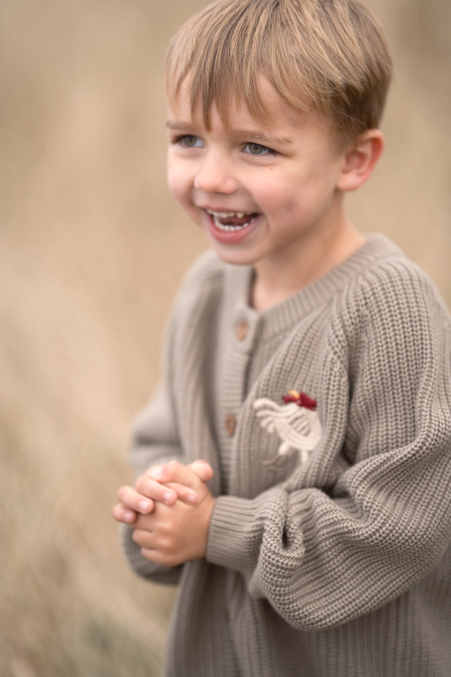 Hanevild Kaj cardigan med uld Blouses Caribou