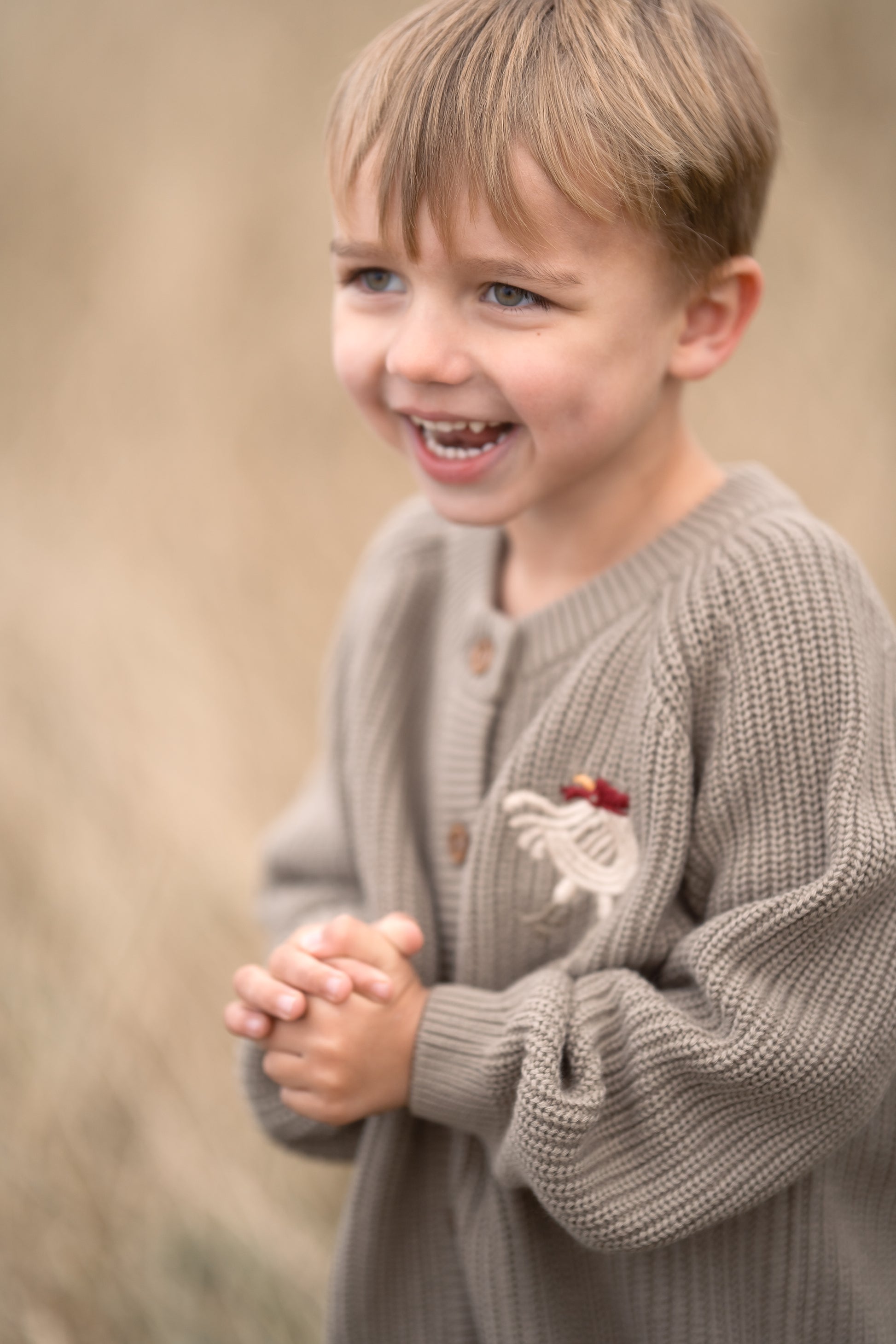 Hanevild Kaj cardigan med uld Blouses Caribou