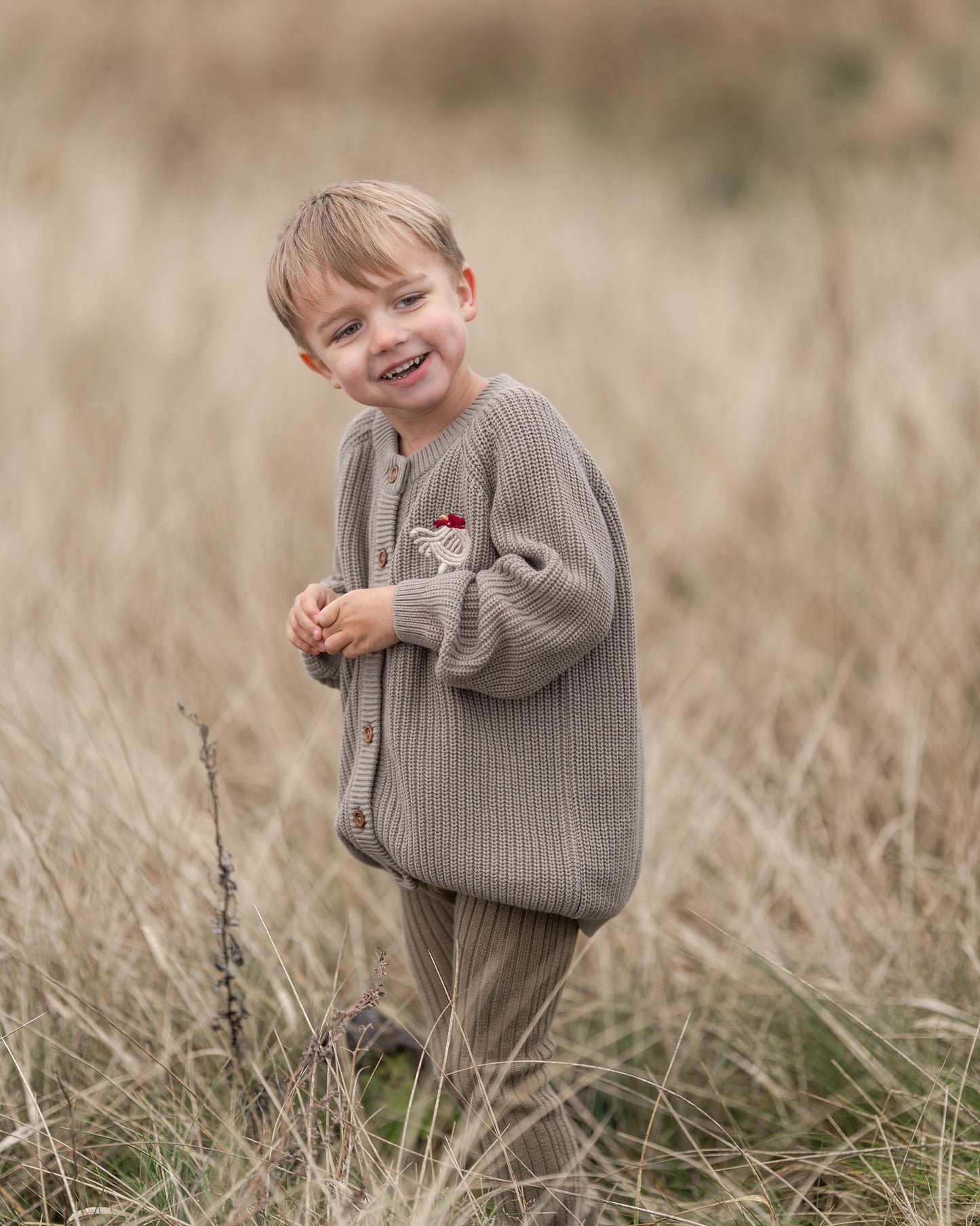 Hanevild Kaj cardigan med uld Blouses Caribou