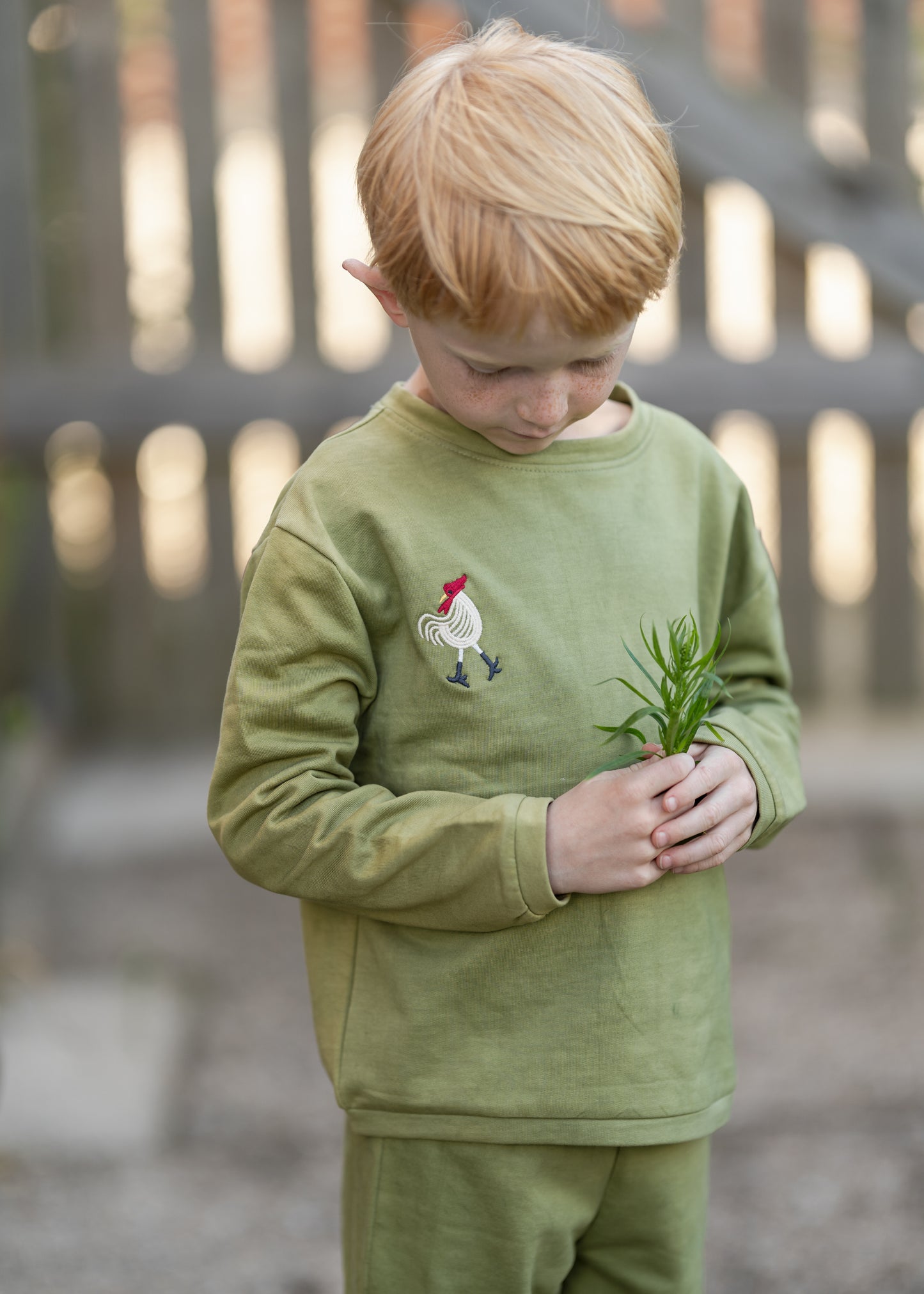 Hanevild Karl sweater Blouses sage