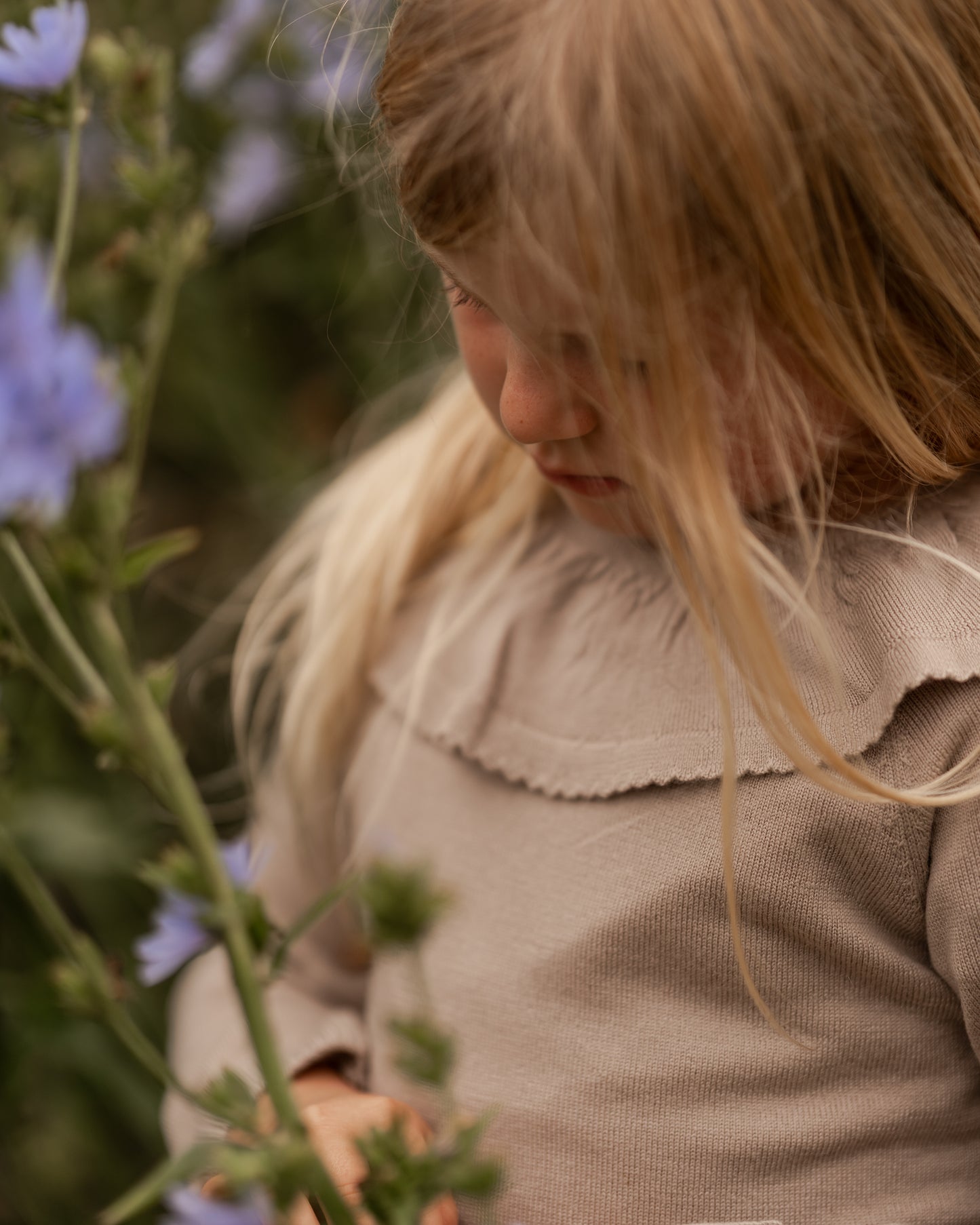 Hanevild Lea bluse, merinould Blouses