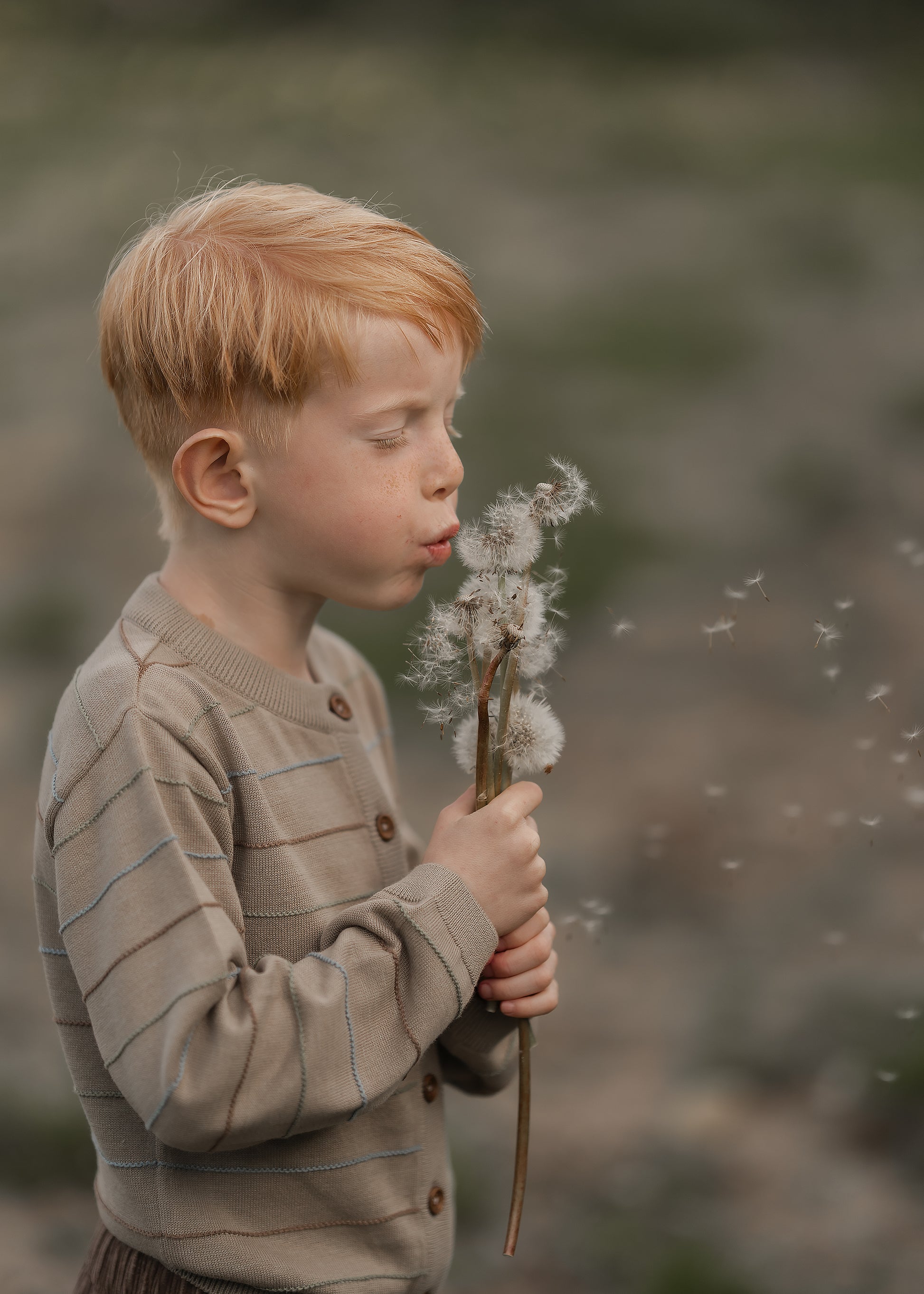 Hanevild Lex cardigan Blouses Crockery