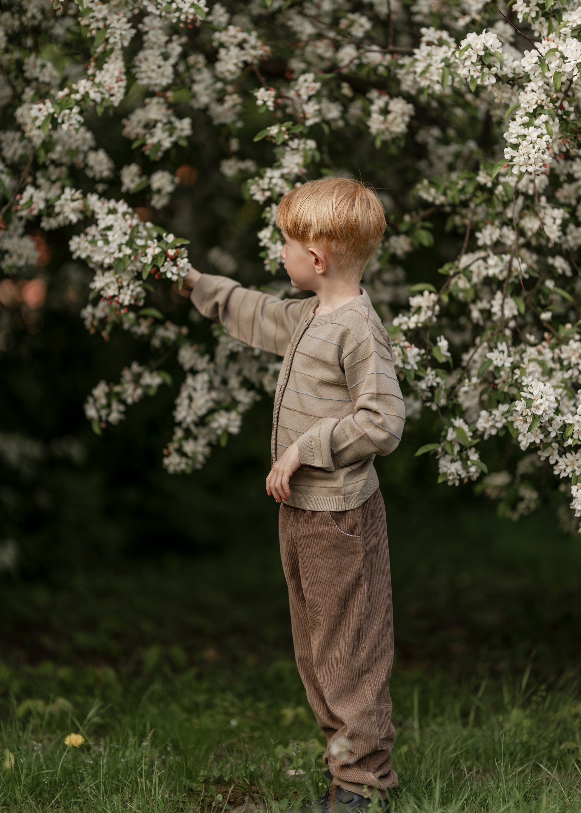 Hanevild Lex cardigan Blouses