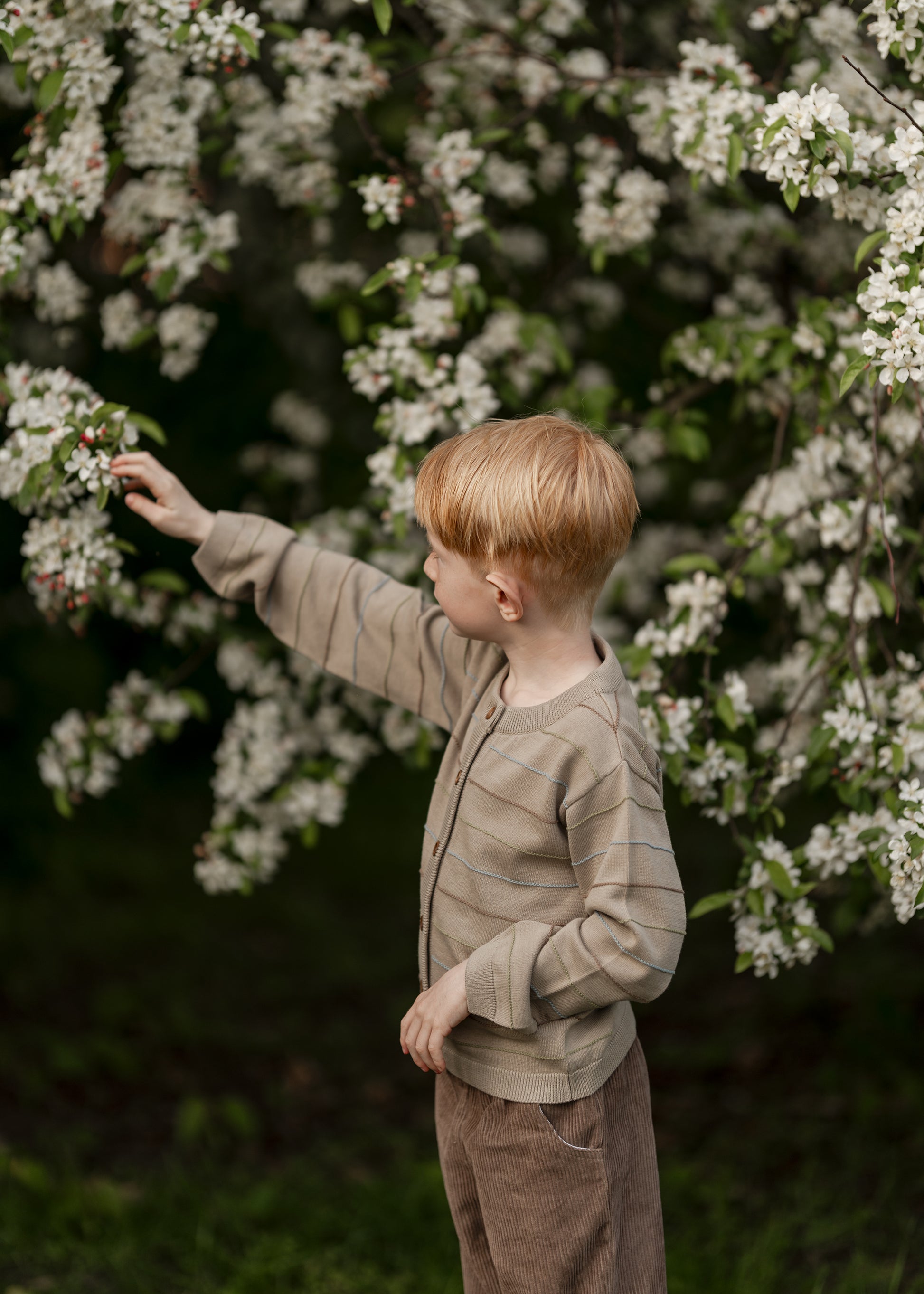 Hanevild Lex cardigan Blouses