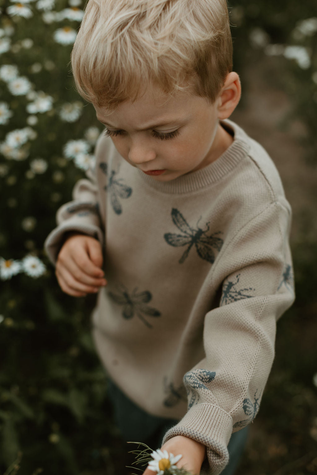 Hanevild Linus bluse Blouses