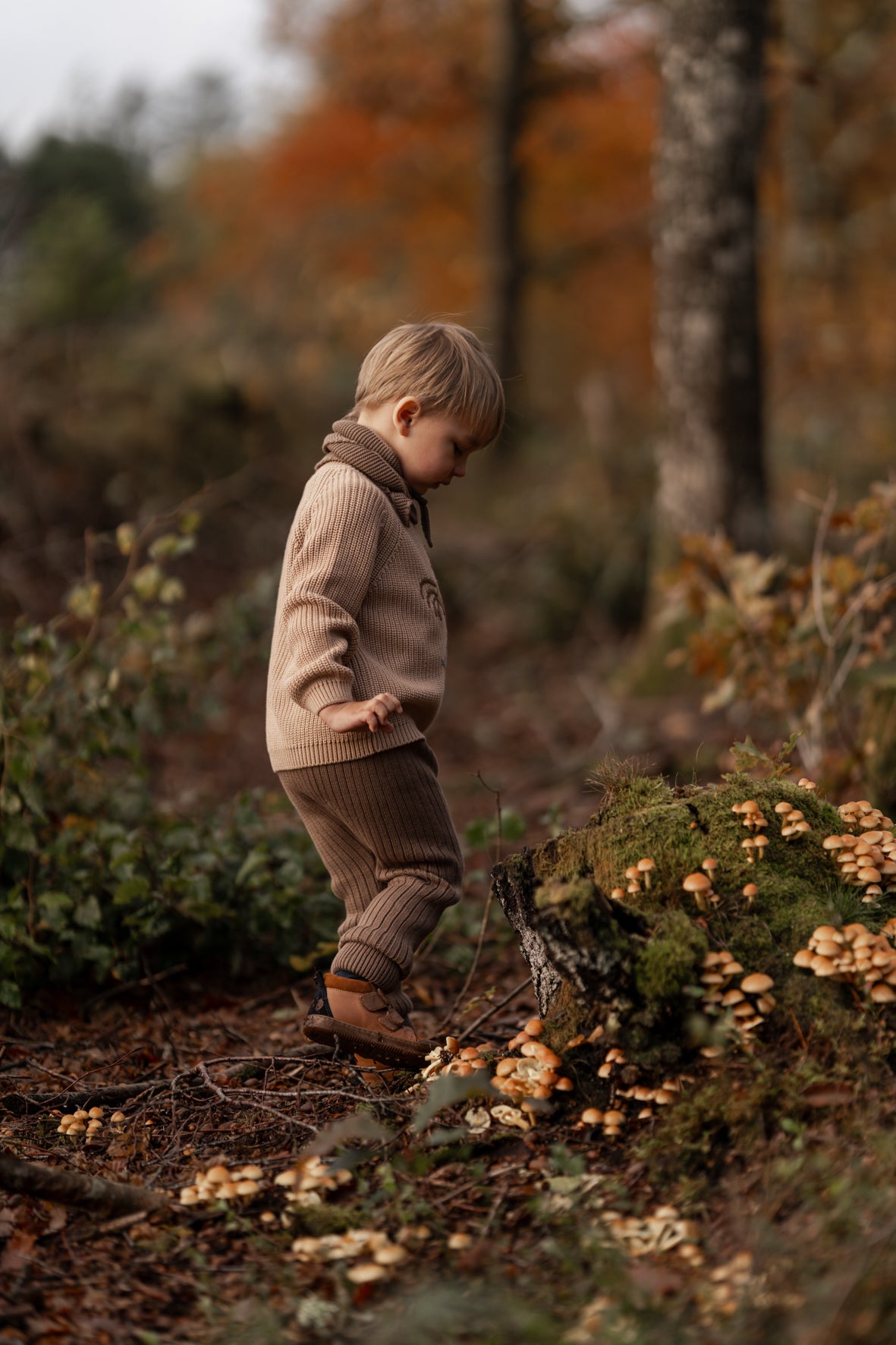 Hanevild Lynge leggings Pants Caribou