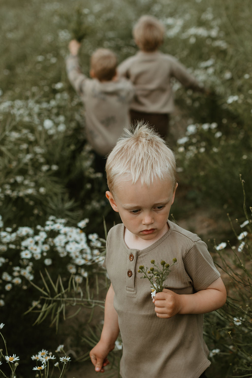 Hanevild Palle t-shirt T-shirts Crockery
