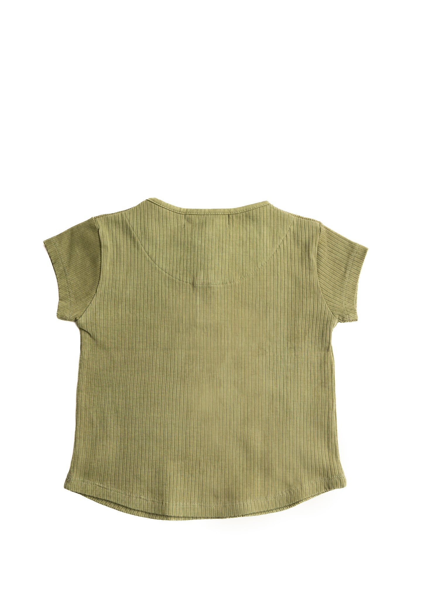 Hanevild Palle t-shirt T-shirts sage