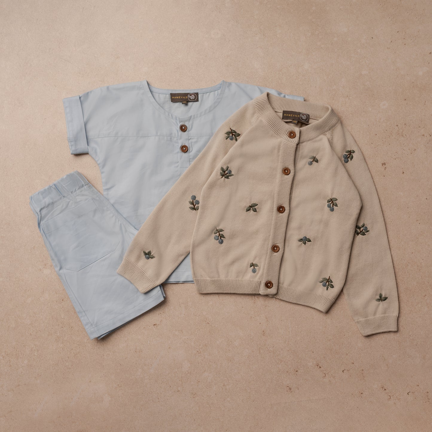 Hanevild Thøger shorts Pants Kentucky blue