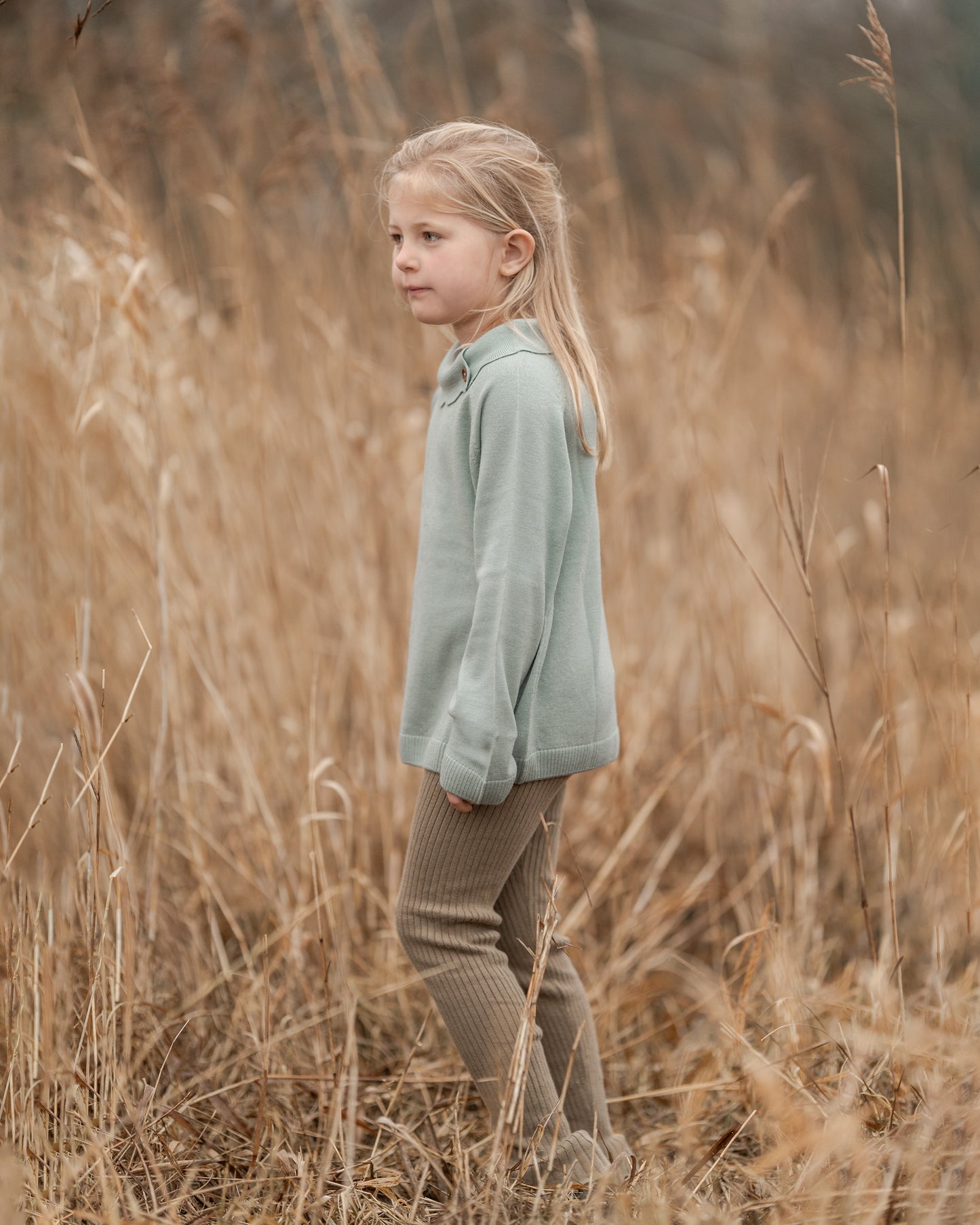 Hanevild ea bluse, merino uld Blouses sage