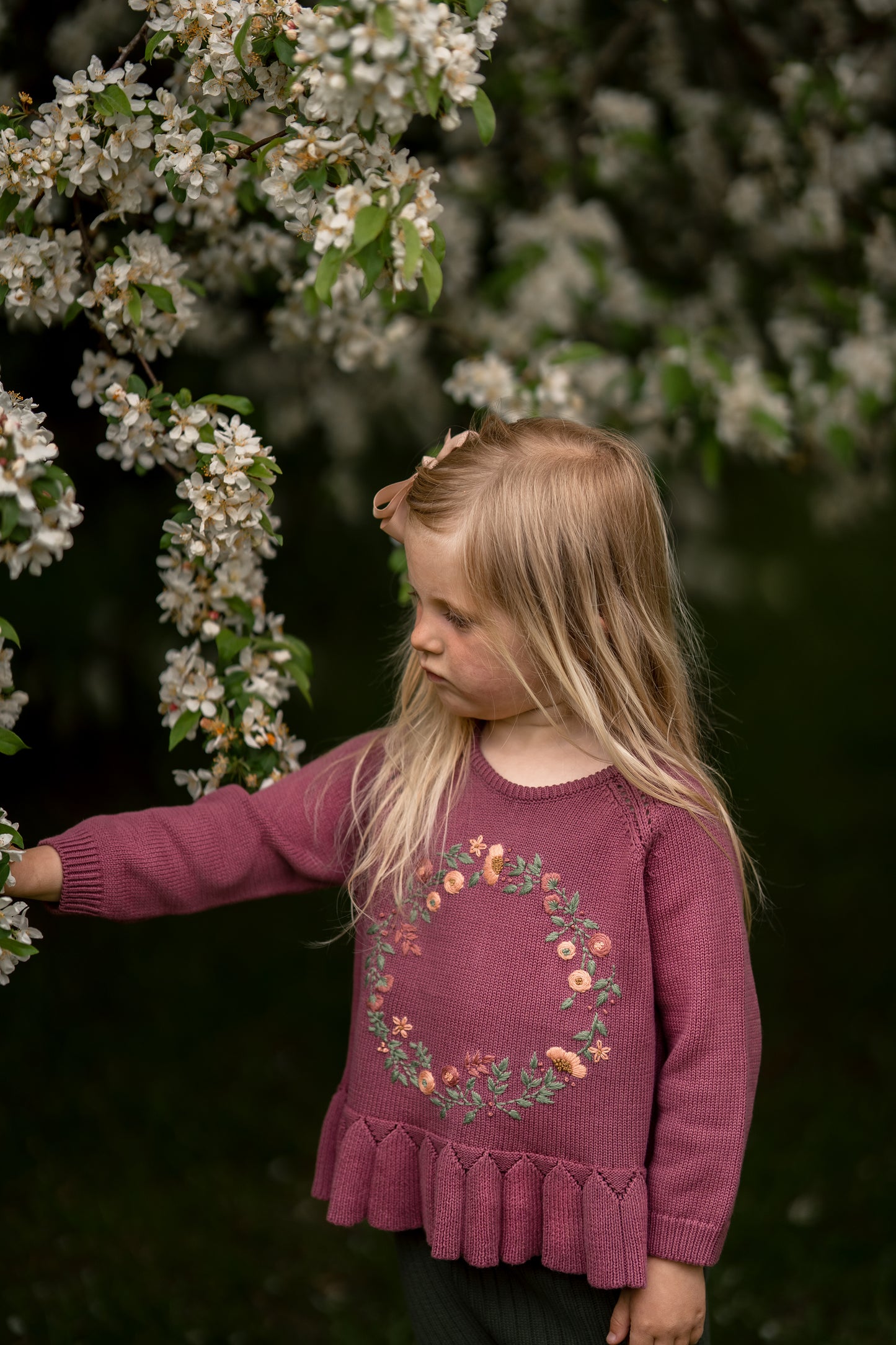 Hanevild Agnes Bluse Blouses Chrushed berry