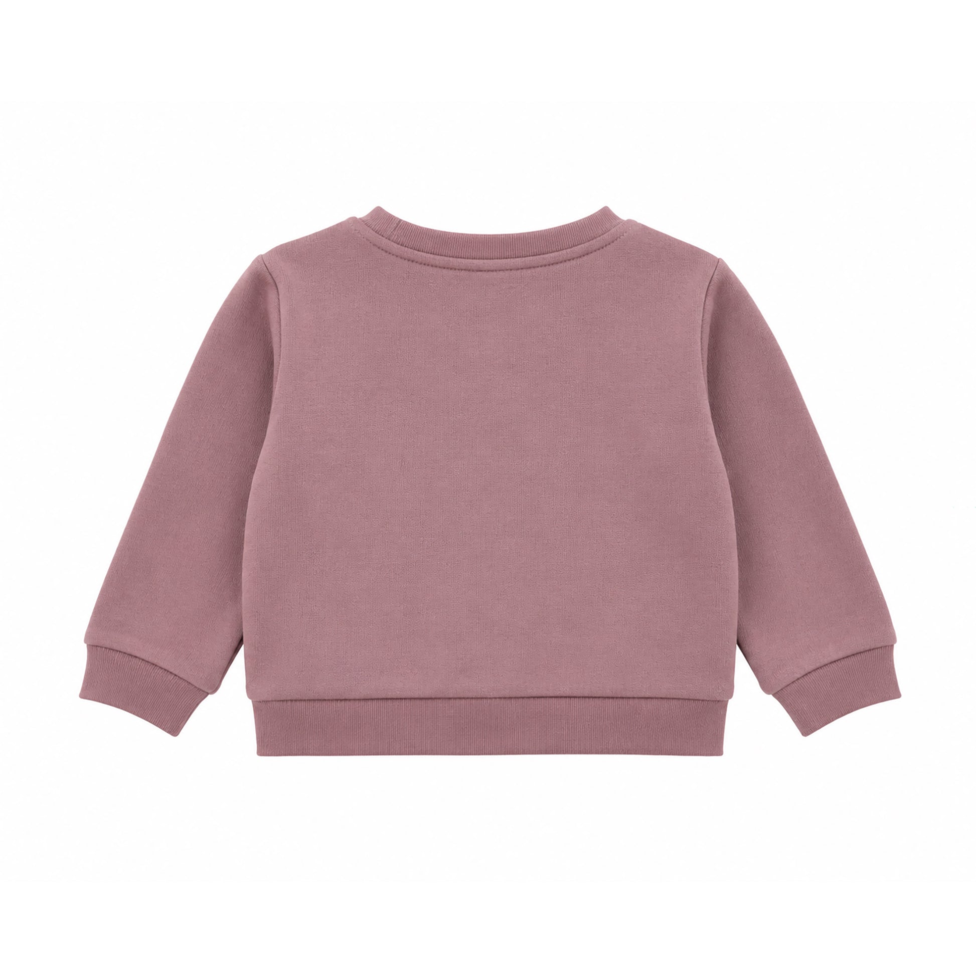 Hanevild Elna sweatshirt Blouses Rose taupe