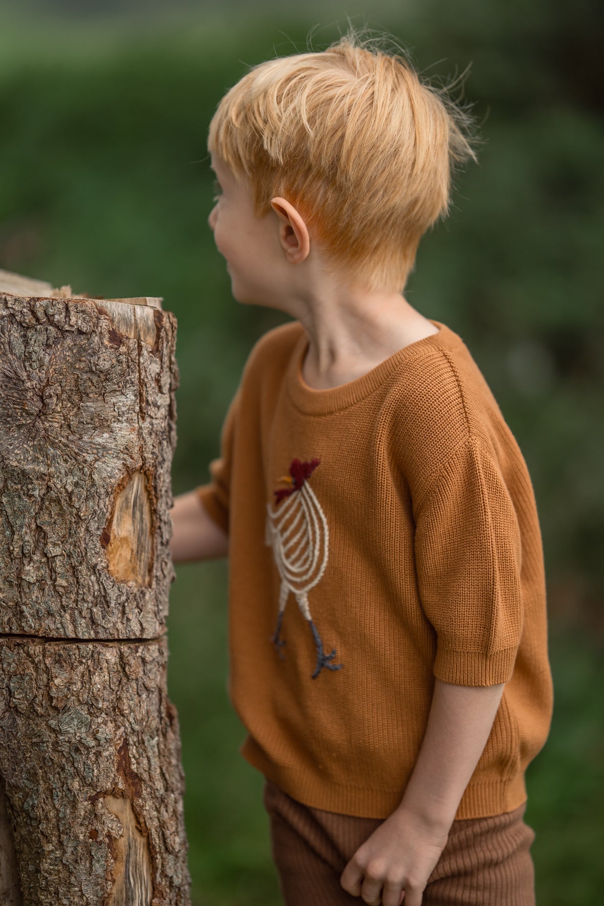 Hanevild Hanevild T-shirt Blouses Golden brown