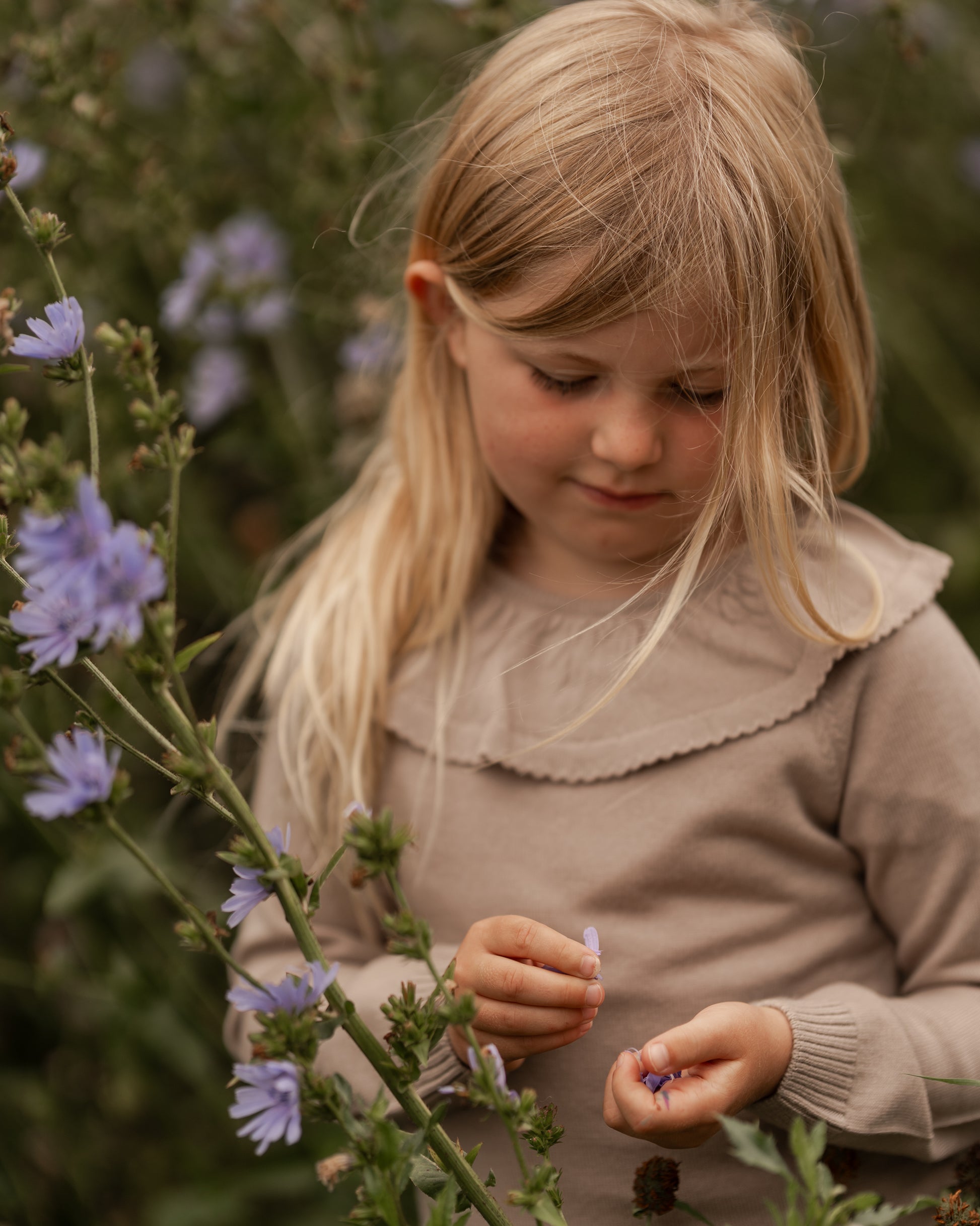 Hanevild Lea bluse, merinould Blouses
