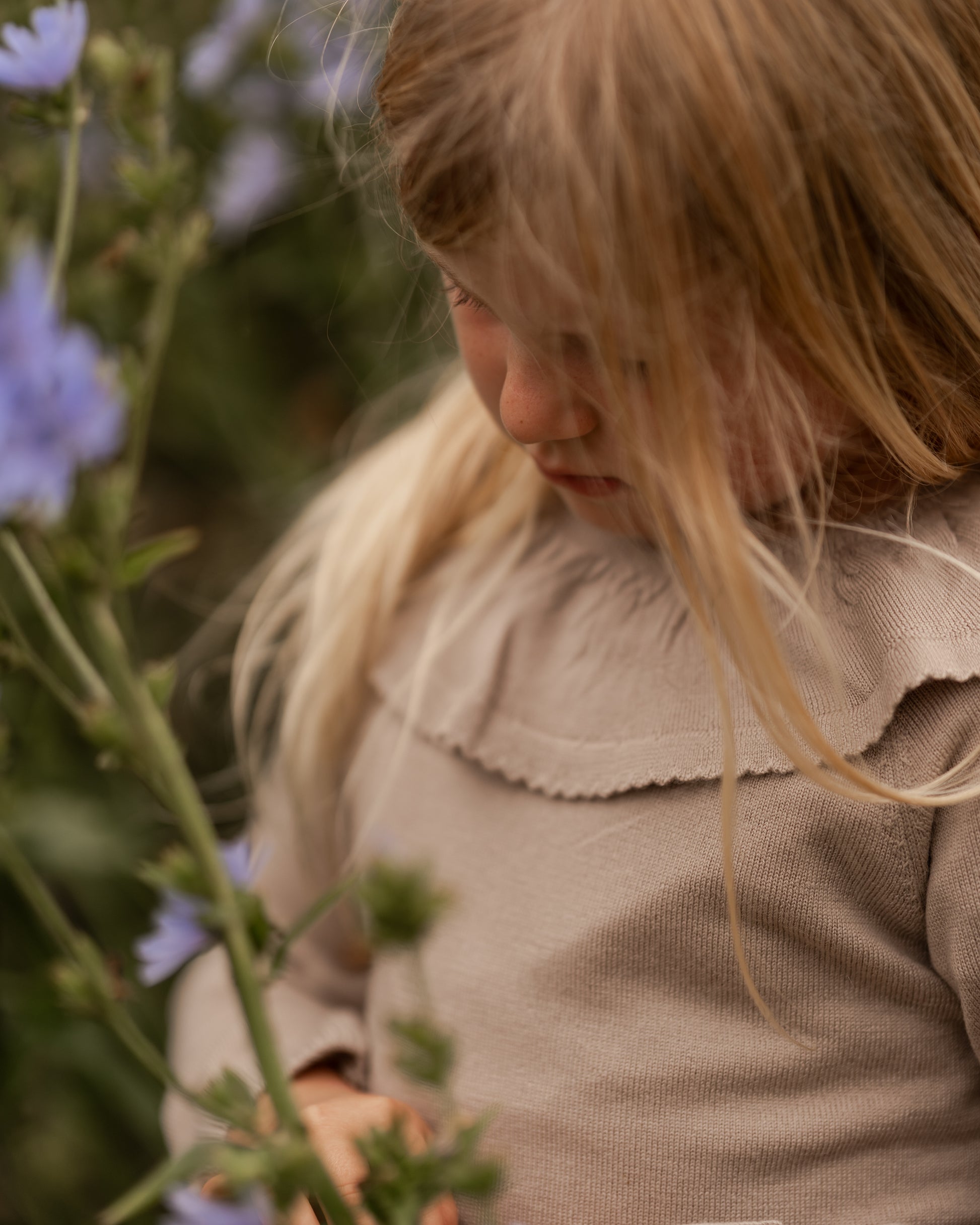 Hanevild Lea bluse, merinould Blouses
