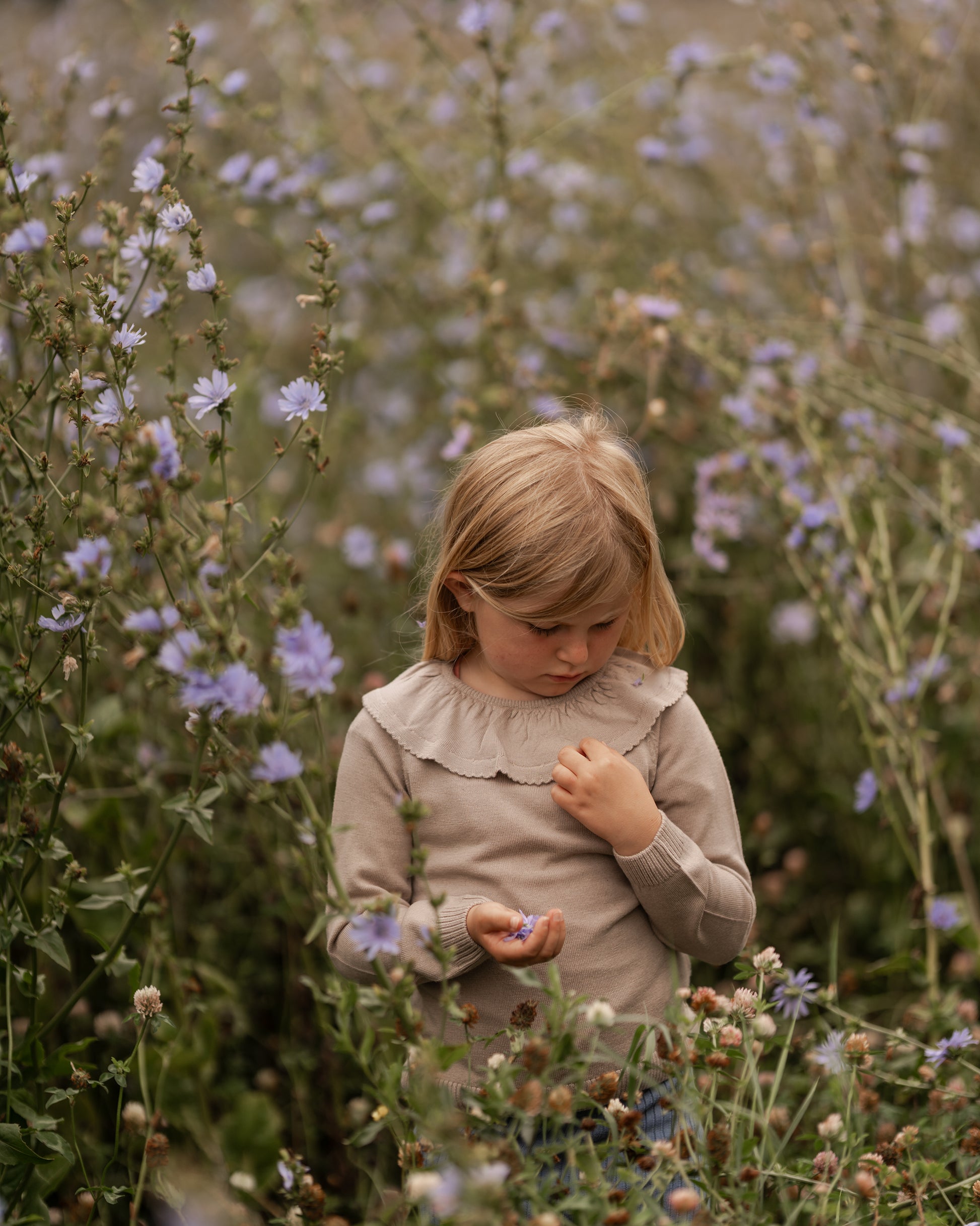 Hanevild Lea bluse, merinould Blouses cream oatmeal