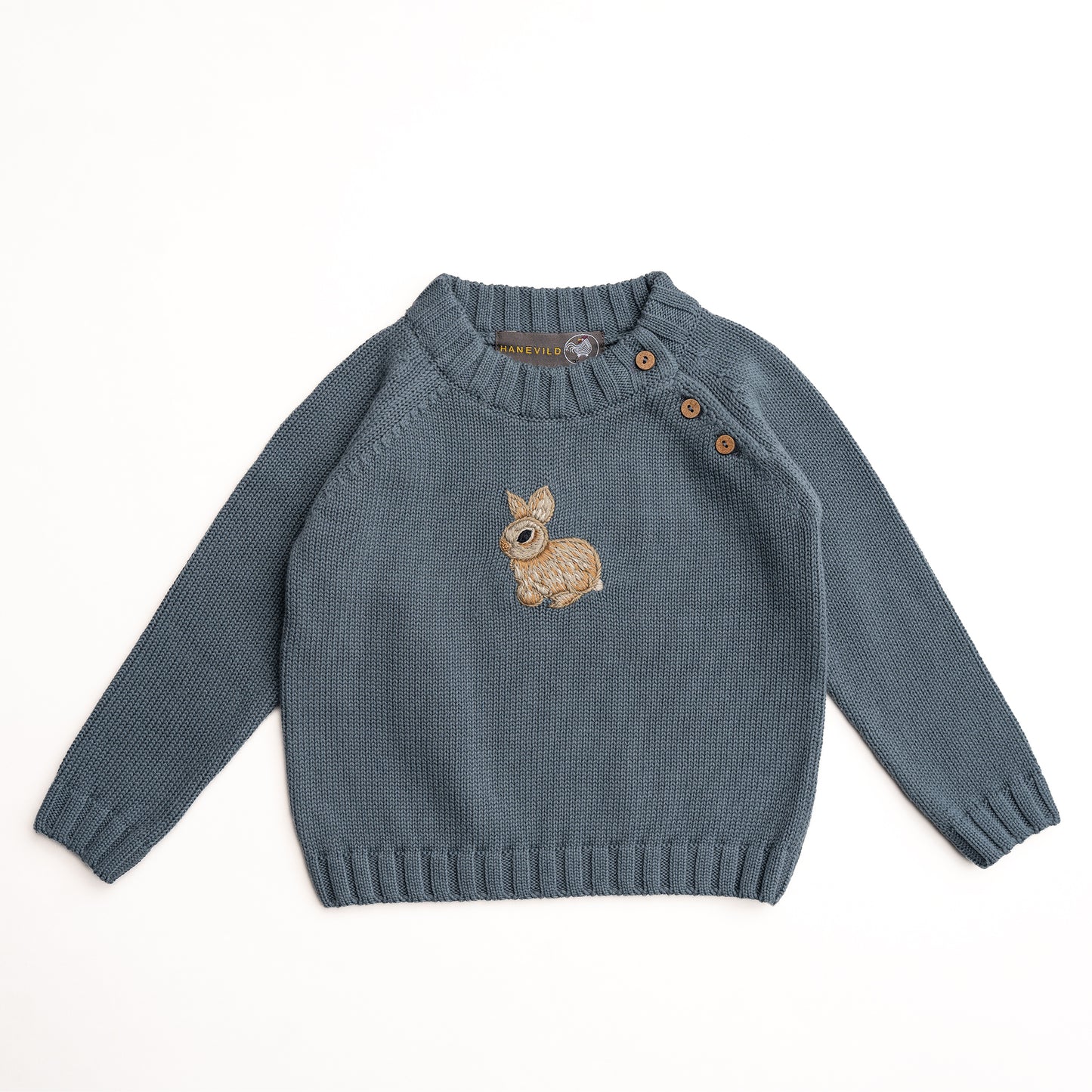 Hanevild Linus bluse - sweater til baby Blouses Stormy weather