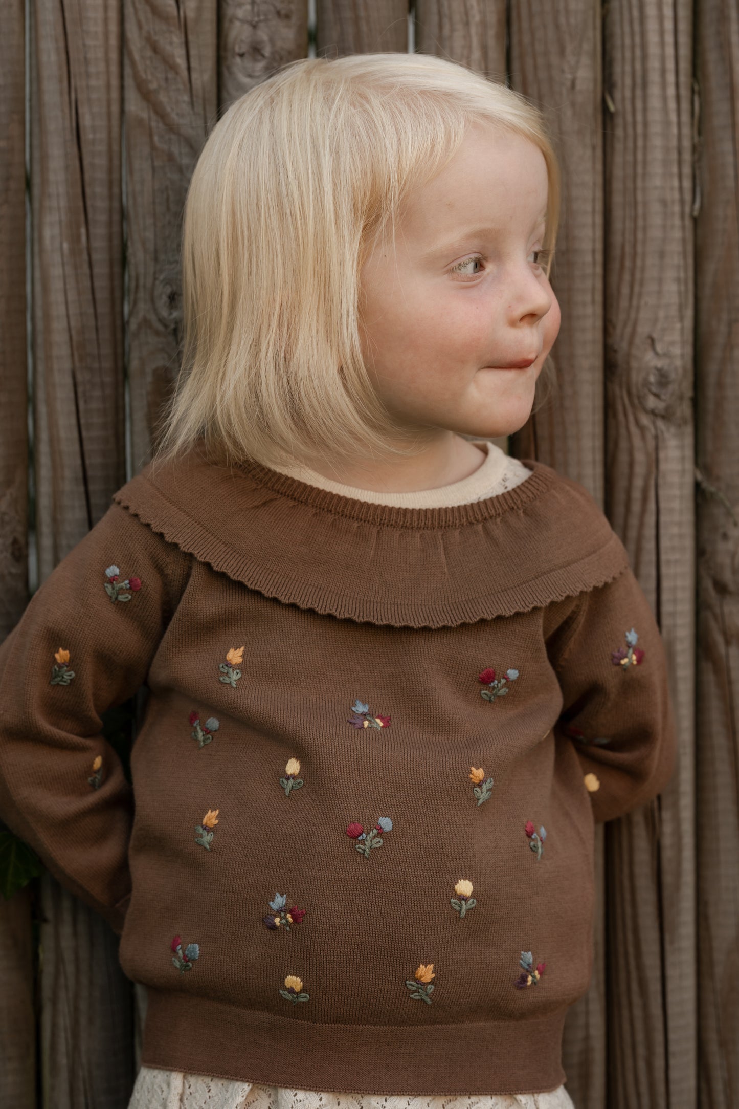 Hanevild Marie bluse Blouses Brown