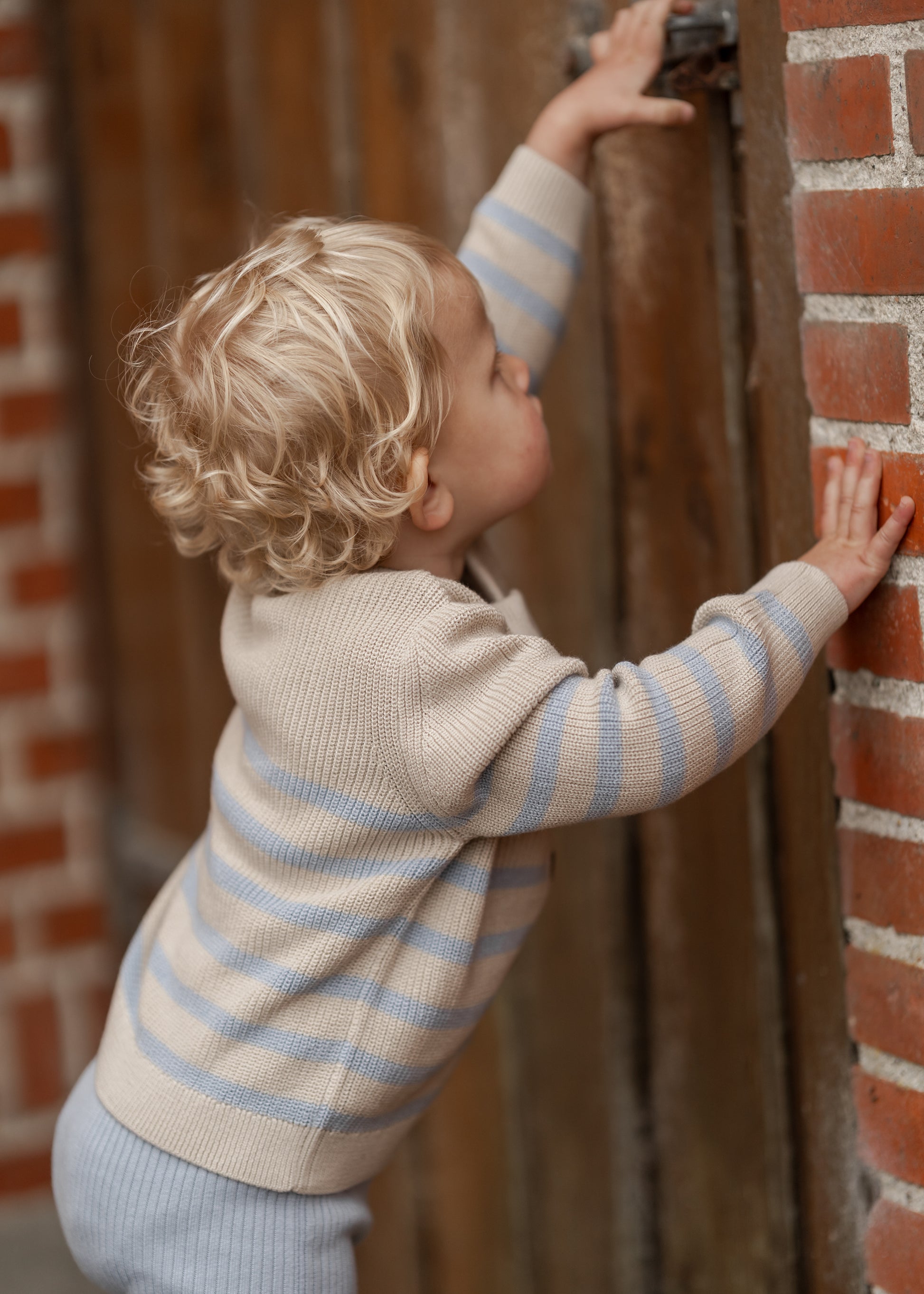 Hanevild Sune cardigan Blouses Kentucky blue