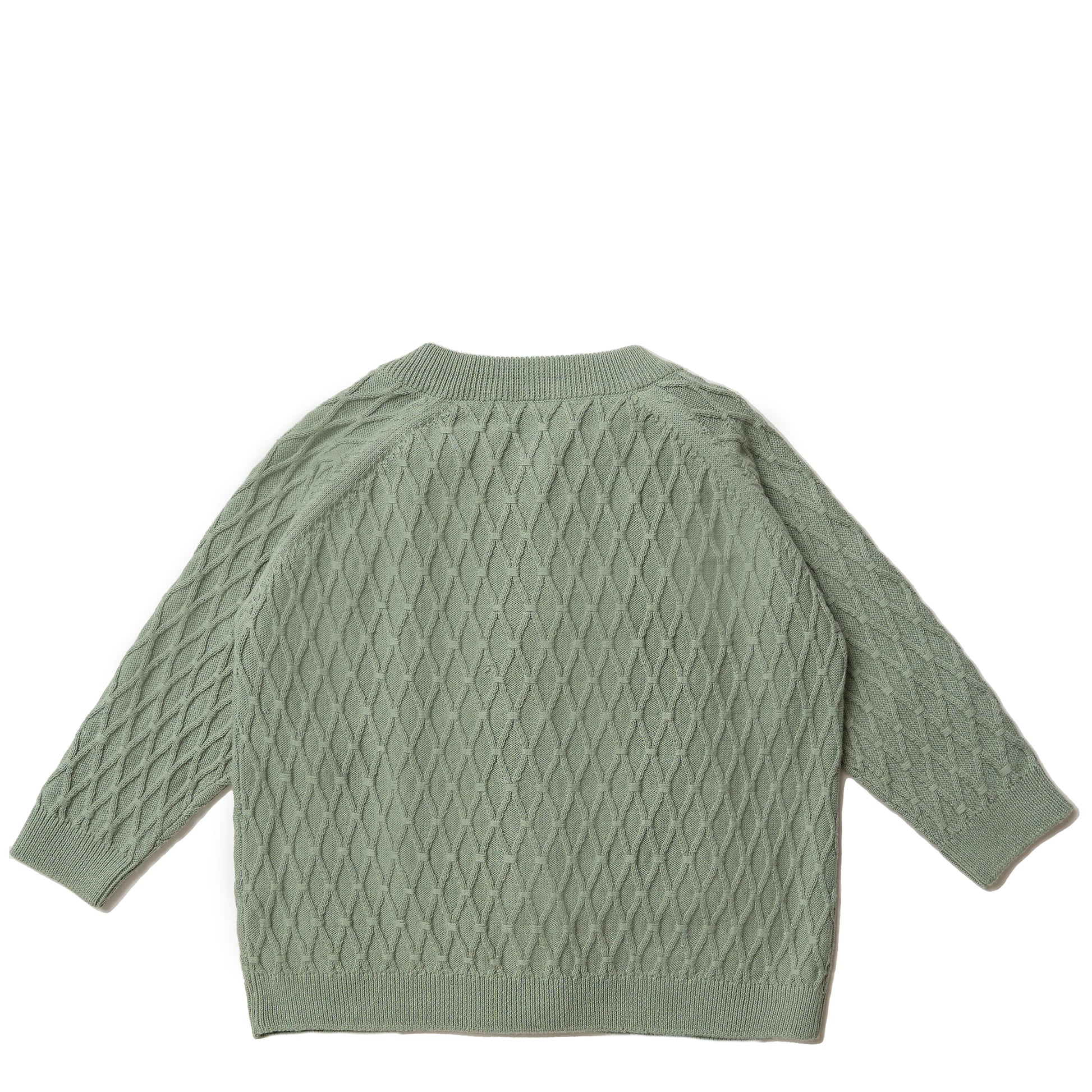 Hanevild Theo cardigan, sage 30% Blouses sage