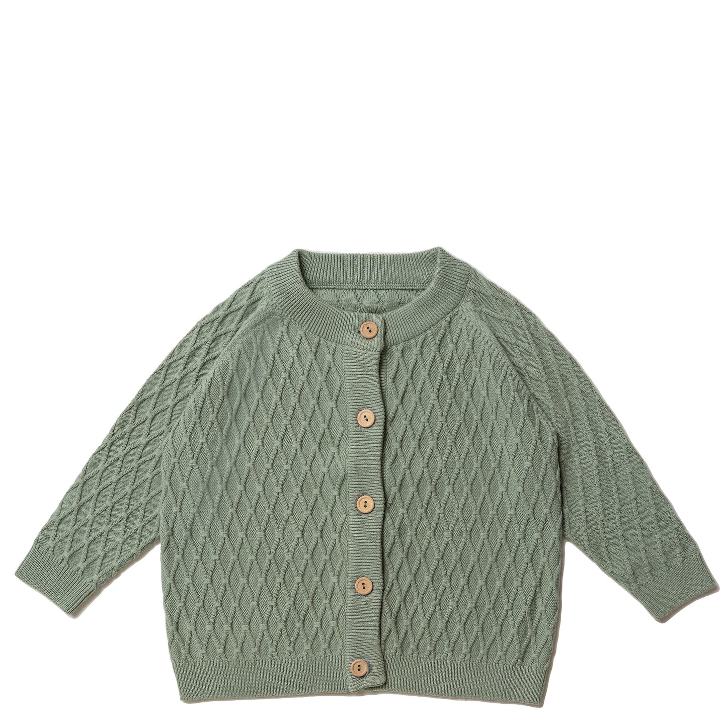 Hanevild Theo cardigan, sage 30% Blouses sage