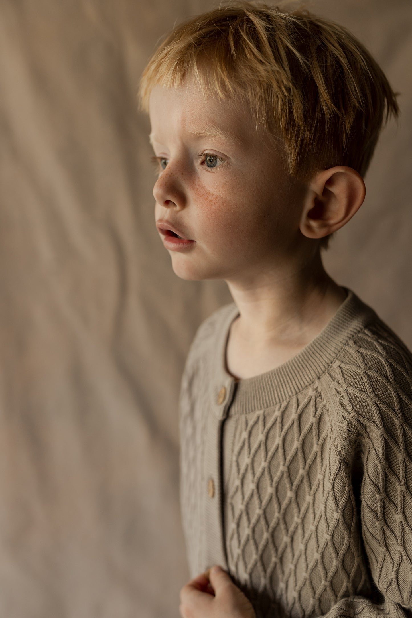 Hanevild Theo cardigan, sand Blouses Grey, warm