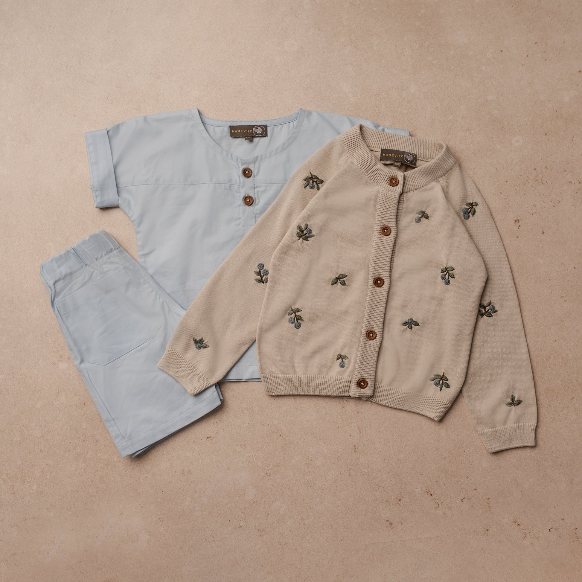 Hanevild Thøger shorts Pants Kentucky blue