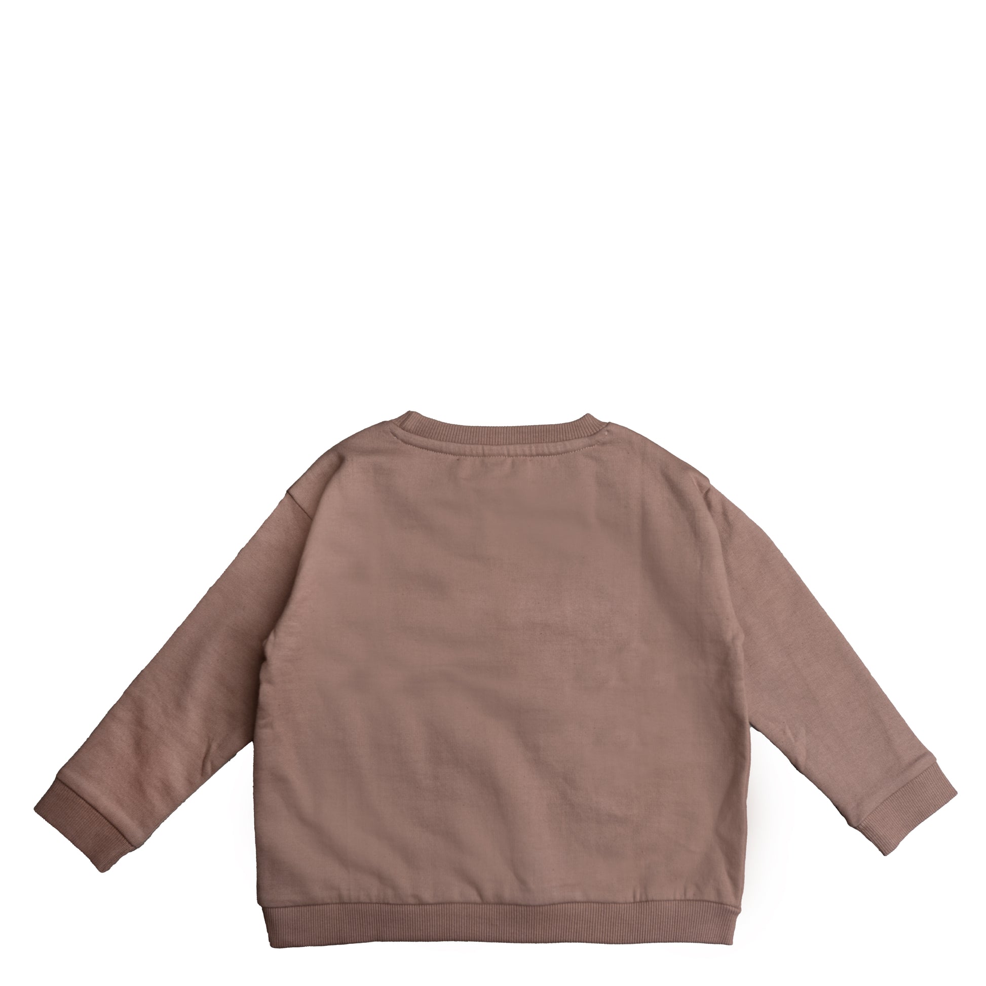 Hanevild Willy bluse, timber Blouses Caribou