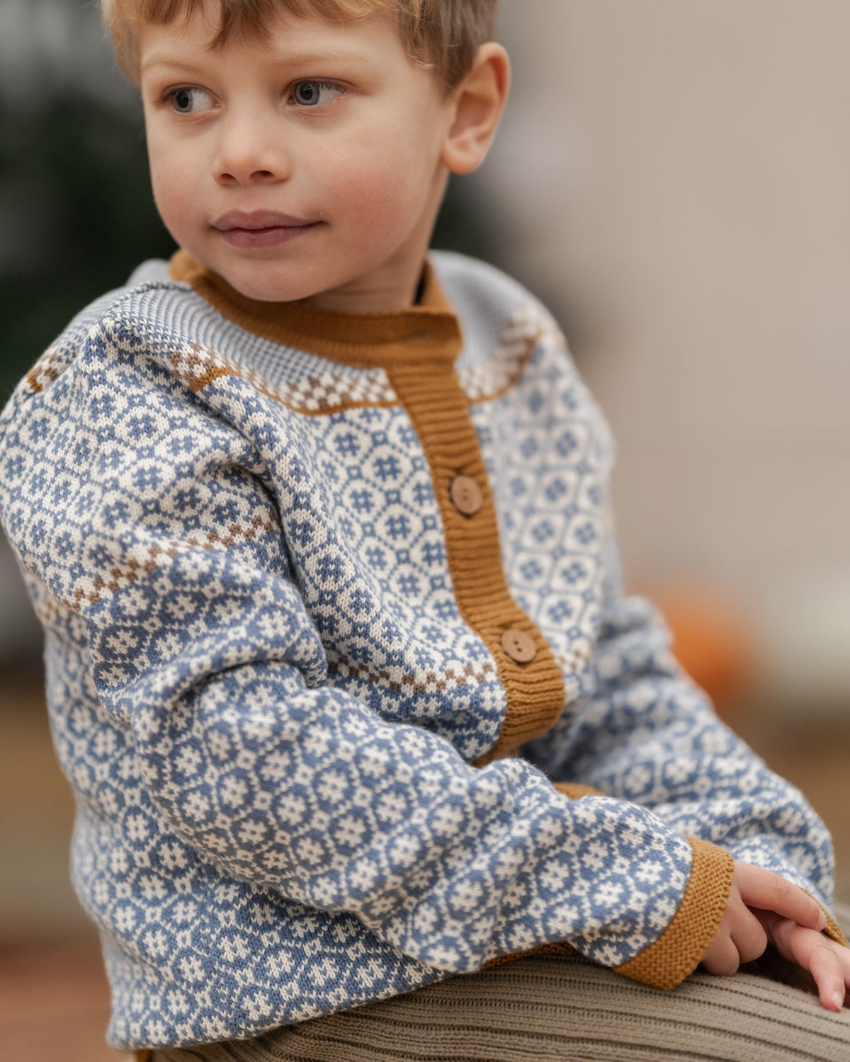 Alex cardigan - Hanevild