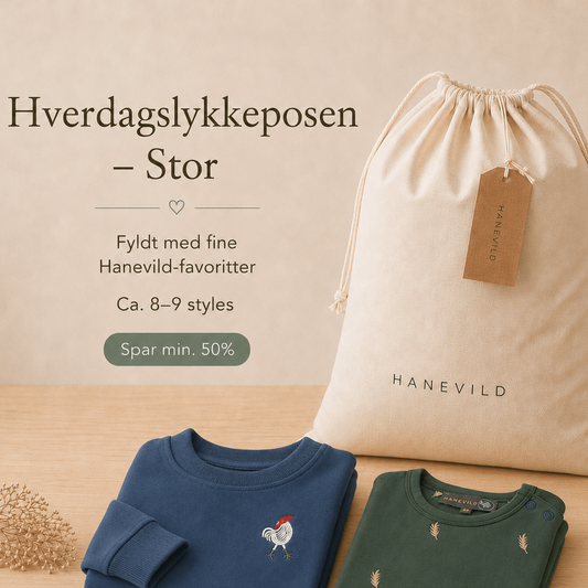 Hverdagslykkeposen – Stor - Hanevild