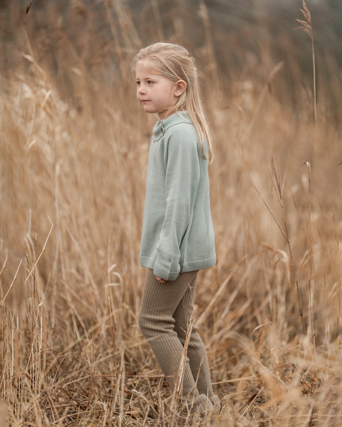 Lea bluse, merino uld - Hanevild
