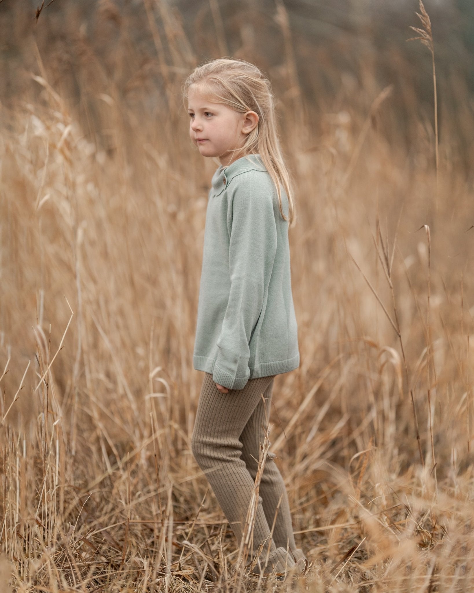 Lea bluse, merino uld - Hanevild