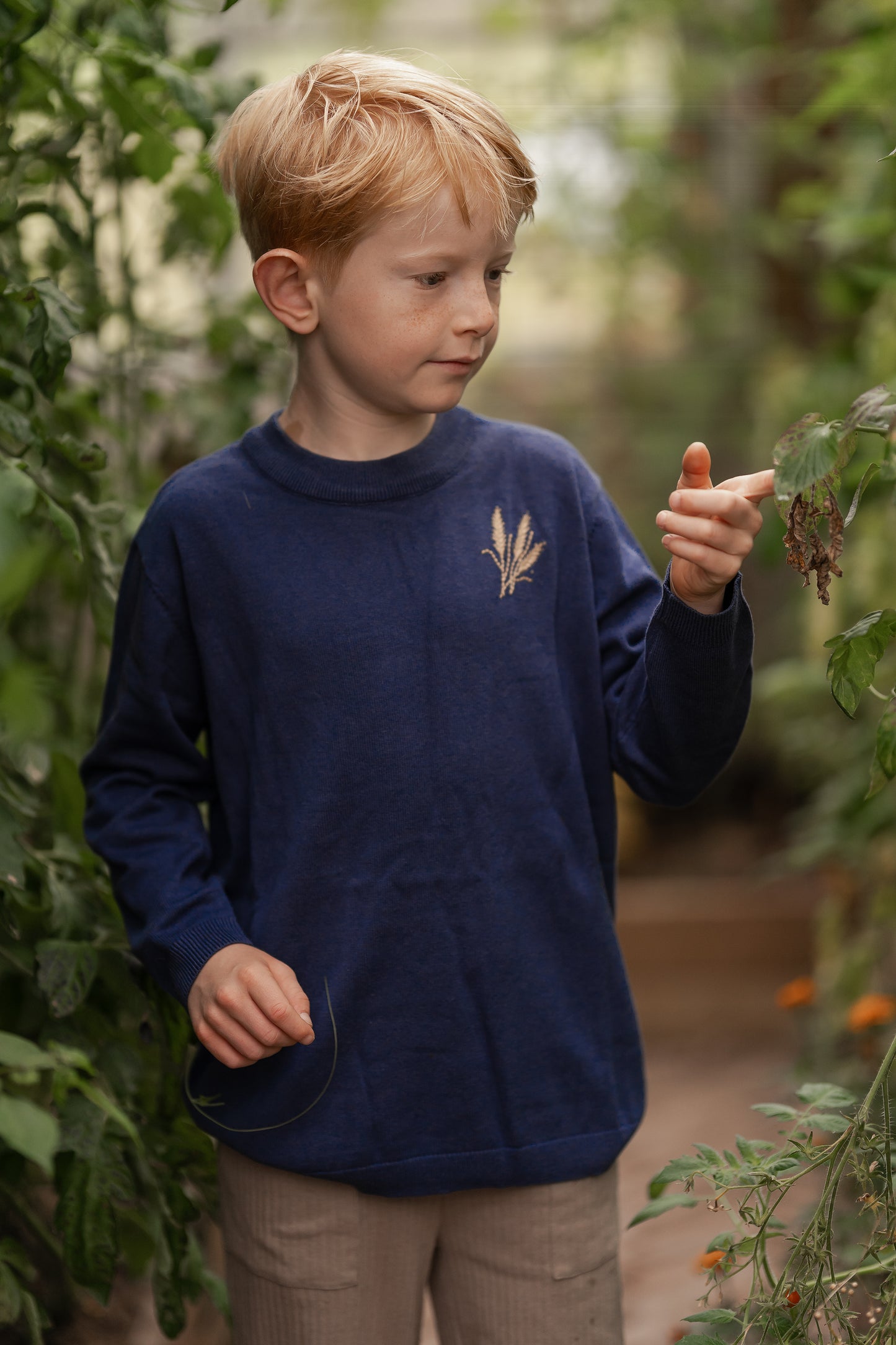 Wheat sweater - navy