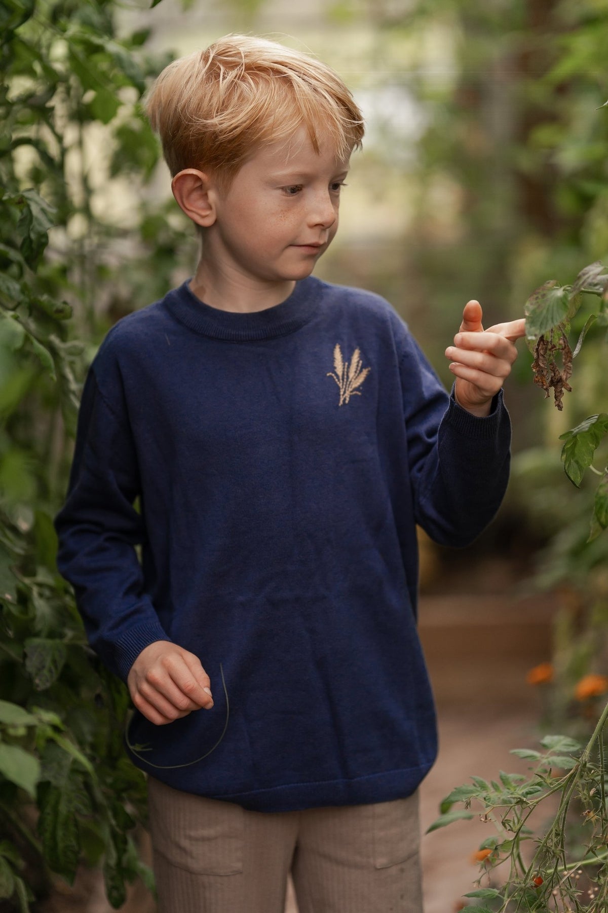 Wheat sweater - navy - Hanevild